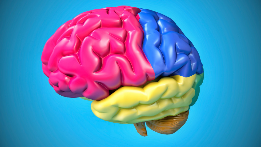 The Psychology of Color Applied to Digital Marketing