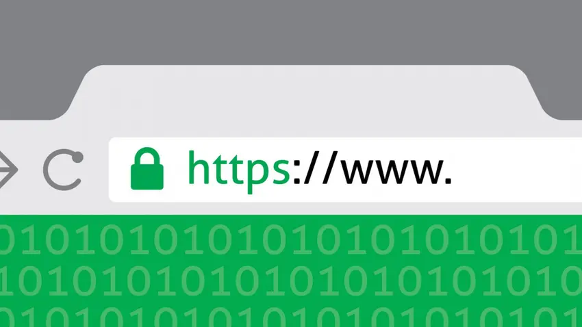 blog What's a SSL certificate and why its important for my website?