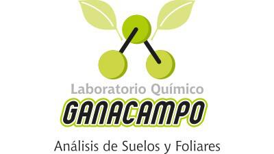 Damos aliados
